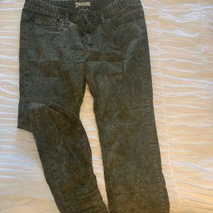 Olive Free People Corduroys